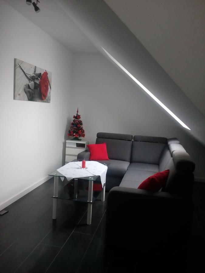 Апартаменты Apartament Homole B5 nad Grajcarkiem Шавница